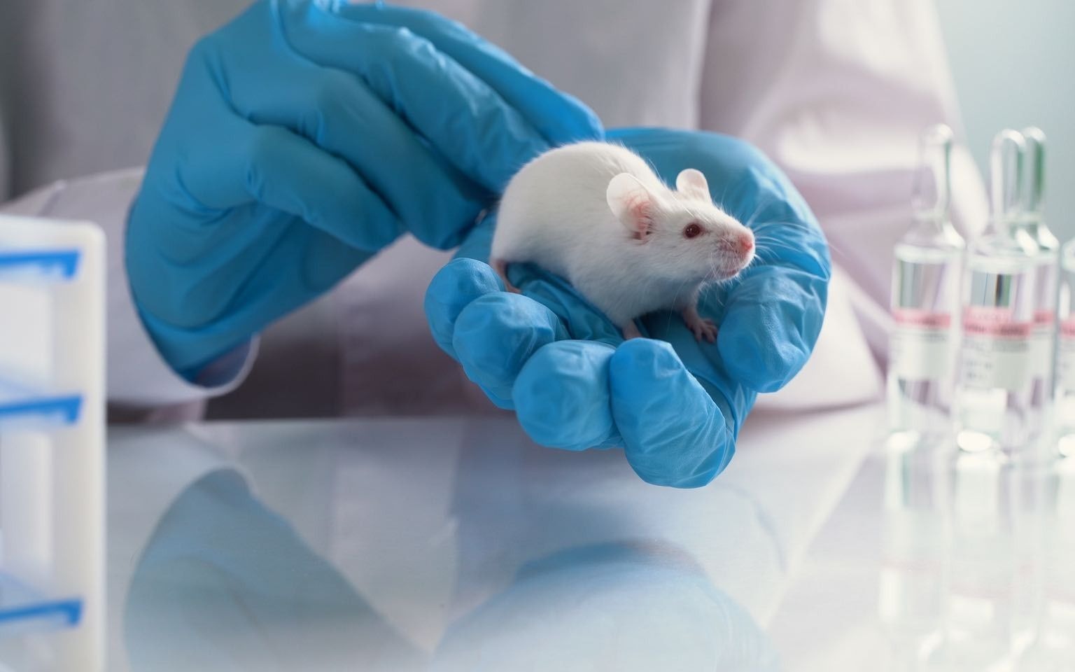 Two-Day Workshop on Lab Animal Research Ethics